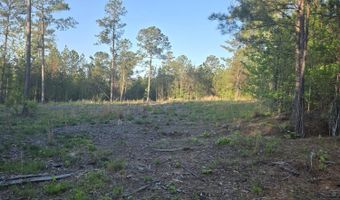 0 SWEETGUM Ln, Lincolnton, GA 30817