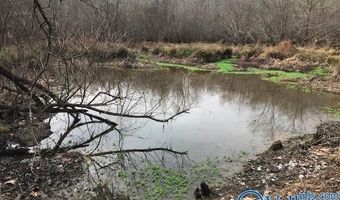 6777 Hwy 207, Anderson, AL 35610
