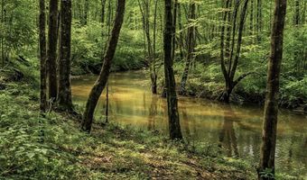 SW Auburn Drive, Bogue Chitto, MS 39629