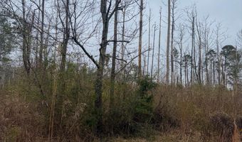 Jack Road, Braxton, MS 39044