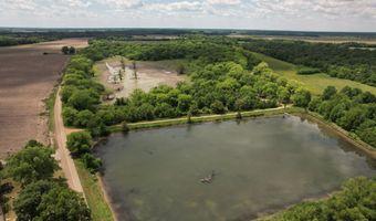 Jenkins Road, Alligator, MS 38720