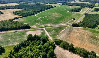 0 Antioch Church Rd, Ashford, AL 36312