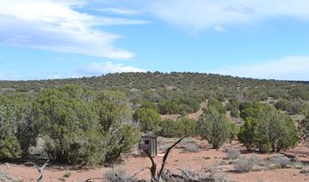 32 N8544 398, Concho, AZ 85924