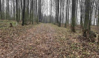 McPherson Road lot 11 & 12, Alden, MI 49612