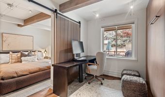 1024 E Cooper Ave 1, Aspen, CO 81611