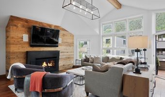 925 E DURANT Avenue 2, Aspen, CO 81611