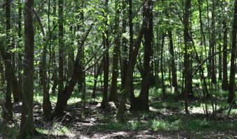 0 County Rd 22, Auburn, AL 36830