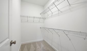 319 Mangrove Ct, Ayden, NC 28513