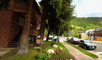 805 E Cooper Ave 12, Aspen, CO 81611
