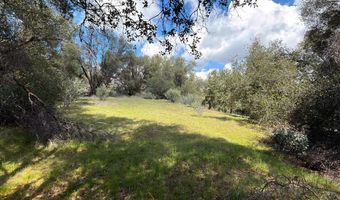 6 Knickerbocker, Ahwahnee, CA 93601
