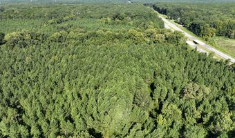 Highway 58, Baskerville, VA 23915