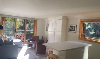 1136 Vine St 1136, Aspen, CO 81611