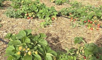 3152 Siskiyou Blvd, Ashland, OR 97520