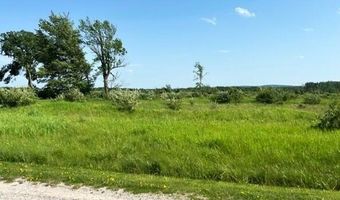 UNIT 51 SUNSET BOULEVARD, Alanson, MI 49706