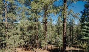 Snowmass Rd lot 9, Angel Fire, NM 87710