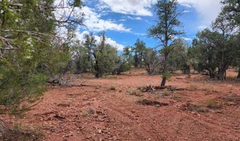 488 B & C Scorpion, Ash Fork, AZ 86320