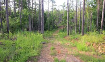 Hwy 9, Bruce, MS 38915