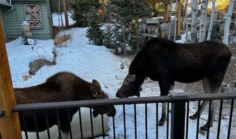 124 Ski Rd, Allenspark, CO 80510
