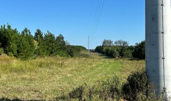 20 Ac State Hwy 95 Columbia Rd, Abbeville, AL 36310