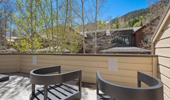121 W Hyman Ave B, Aspen, CO 81611