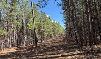 MOUNTAIN CUT RD lot C, Appomattox, VA 24522