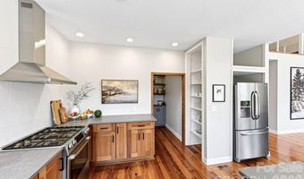 9 Bees Mountain Dr, Asheville, NC 28804