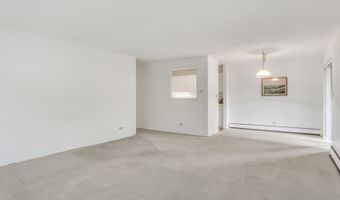 1107 S Old Wilke Rd 201, Arlington Heights, IL 60005