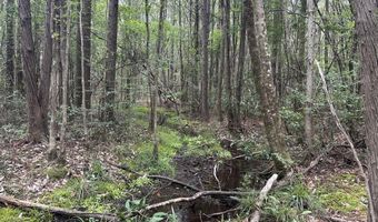North 5 Ac Keyser Mill Road, Baker, FL 32531