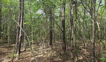 17 17a Oregon Ln, Aurora, NC 27806