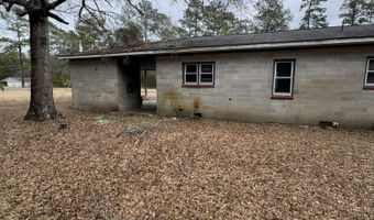 161 County Road S-45-731, Cades, SC 29518