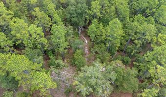 TBD 65th St, Bell, FL 32619