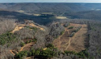 700 Acres Puncheon Creek Ln, Allred, TN 38542