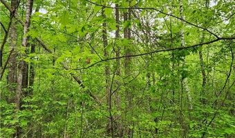 35270 Bear Creek Rd, Askov, MN 55704