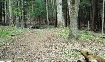 Alden Meadows lot 39, Alden, MI 49612