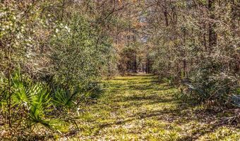 5280 Whitaker Way, Anderson, TX 77830