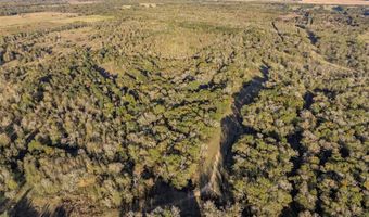 7821 Belcher Oil City Rd, Belcher, LA 71004