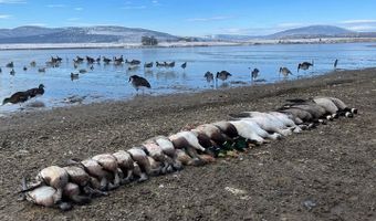 1550 Haskins Rd, Bonanza, OR 97623