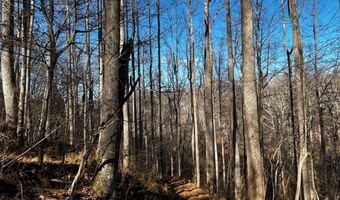 436 HINSONS FORD Rd, Amissville, VA 20106