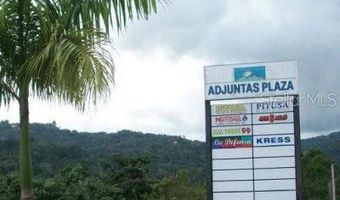 10 PR-10, Adjuntas, PR 00601