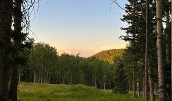 168 Mertz Pl Lot 65, Angel Fire, NM 87710