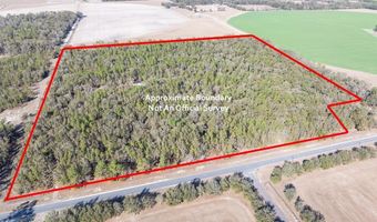 4700 County Road 340, Bell, FL 32619