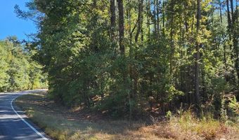 3170 Co Rd 53, Abbeville, AL 36319