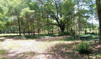 15422 SW 50TH Ave, Archer, FL 32618