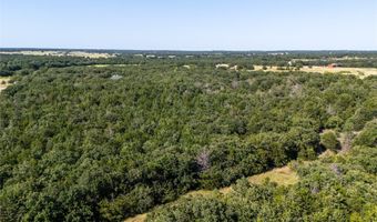 FM 1655 Trail, Alvord, TX 76225