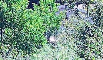 61405 HH SEAL Rd, Angie, LA 70426