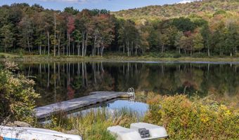 209 Alder Pond Rd, Andes, NY 13731