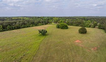 5740 Cobbham Road Lot Tract C, Appling, GA 30802