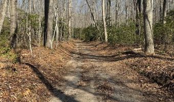 Brookstone Road lot 3, Bastian, VA 24314