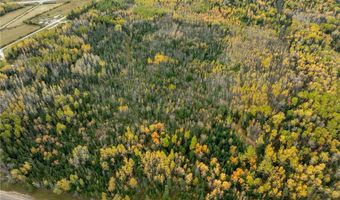 Xxx Highway 11, International Falls, MN 56649