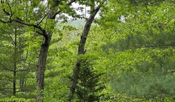 119 ELLIS Rd, Basye, VA 22810